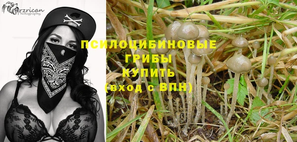меф Арсеньев